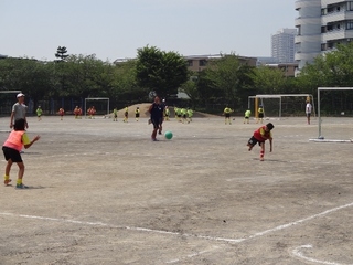 DSC01486 (640x480).jpg