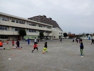 DSC02083 (320x241).jpg